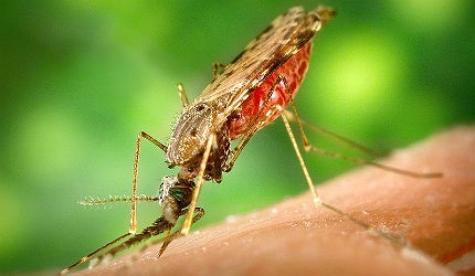 The industry is also increasing development of treatments for tropical diseases